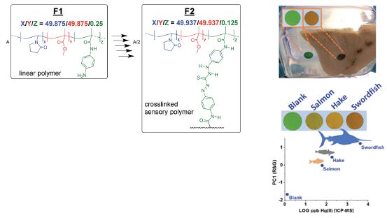 Detection and quantification “in situ” of mercury, copper and nitrites in water and food products using a polymeric detector