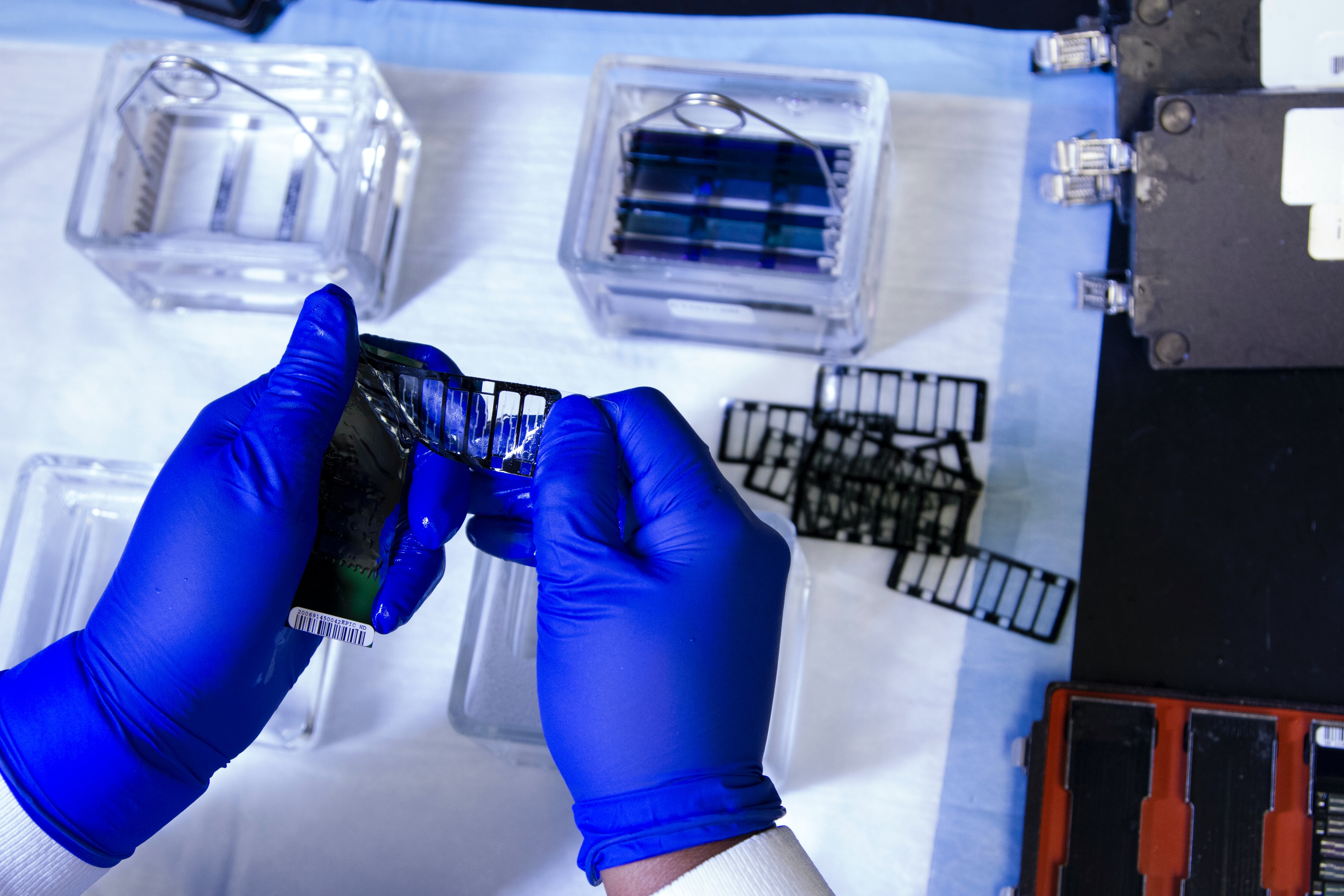 Novel Antimicrobial Materials, with Broad-Spectrum Activity and Applicability in Medical and Non-Medical Applications