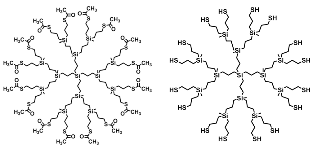 Carbosilane dendrimers with terminal thiol groups on their surface. Their preparation and their uses.