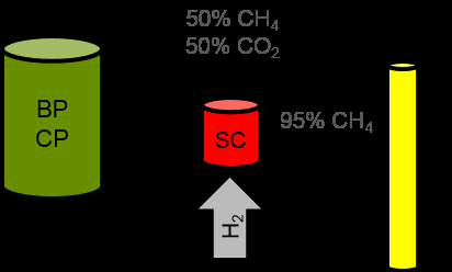 Catalyst for the upgrading of raw biogas