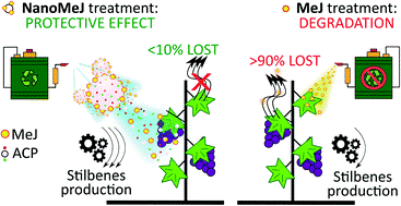 Nanoparticles loaded with jasmonate to fortify and induce natural defenses in plants