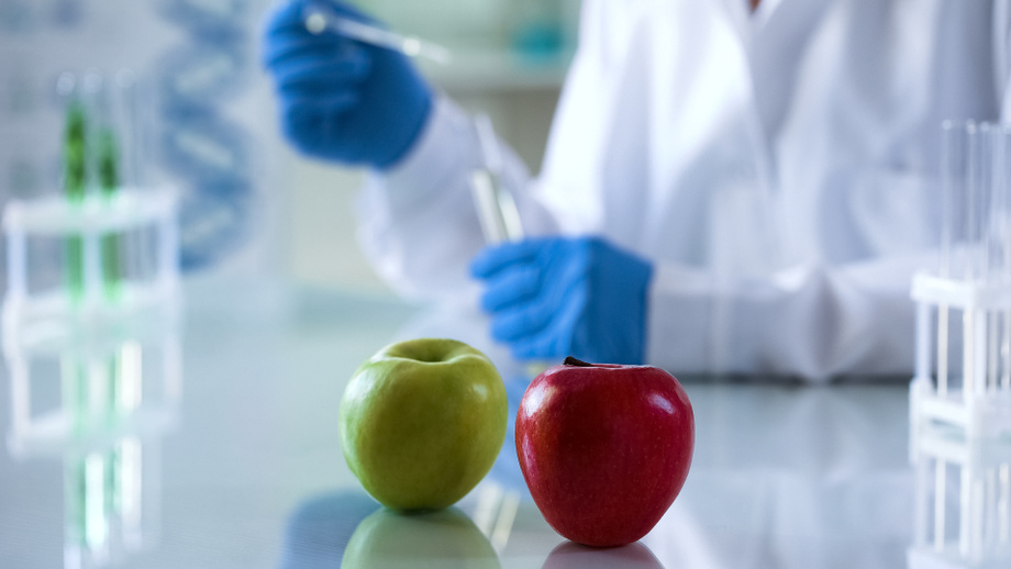 Production of triterpene-hydroxycinnamate form apple cell suspension culture