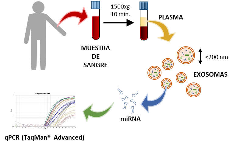 Method for diagnosing Hereditary Hemorrhagic Telangiectasia (HHT)