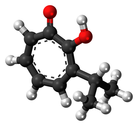 Bioactive compounds of food and their health benefits