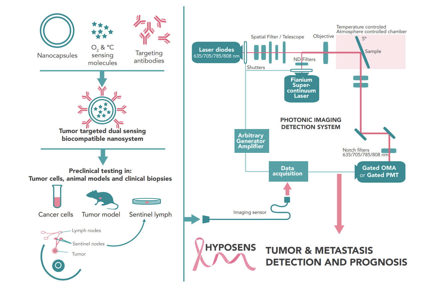 Minimally invasive system for faster, simpler and cheaper detection of breast cancer metastasis