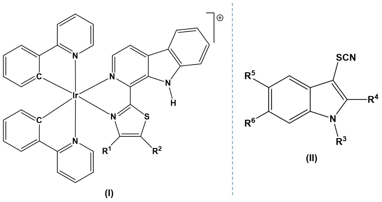 New iridium(III) complexes with application as photo-catalyst and for the treatment of cancer