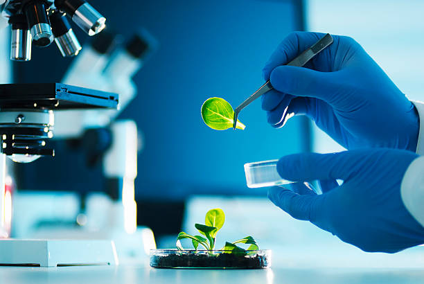 Green Chemistry for Ketones and Aldehydes Production