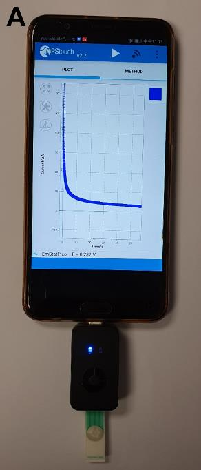 Electrochemical sensor for detecting water polutants