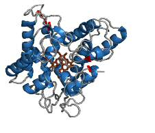 Biocatalyst to transform fat into stabilizers, coatings, glues and polymers in a specific and environmentally friendly way