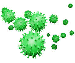 The Use of Chip Scale Photonics for the Advanced, and Efficient Detection of Viruses