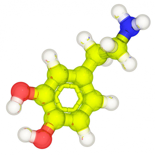 One Step Synthesis of L-DOPA
