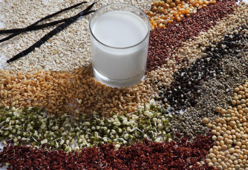 A functional Beverage Mix (soup or healthshake) made from sprouts