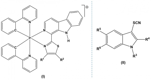 New iridium(III) complexes with application as photo-catalyst and for the treatment of cancer