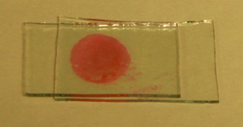 Holographic sensor for detection of adulterants in essential oils